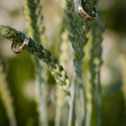 Iwona Soliło -  fotografia ślubna, biznesowa, portretowa - Fotograf ślubny