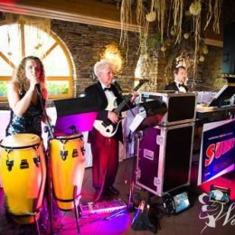 SunnySound - Oprawa muzyczna