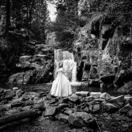 MS Media Group - Fotograf ślubny