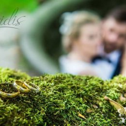 Viridis fotografia - Fotograf ślubny