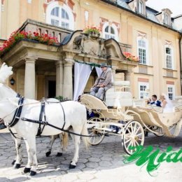 Midori Studio - Fotograf ślubny