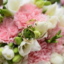 Fotograf  /  Plener / Foto książka / - Fotograf ślubny