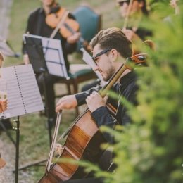 Oprawa ślubu Dobry Ton - Oprawa muzyczna