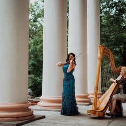 Salvienn harfa skrzypce - Oprawa muzyczna