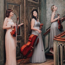 Trio Smyczkowe Siesta - Oprawa muzyczna