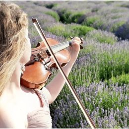 Oprawa ślubów Re Violin - Oprawa muzyczna