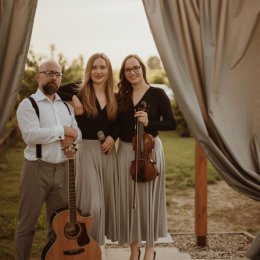 Trio Sedamor - Oprawa muzyczna