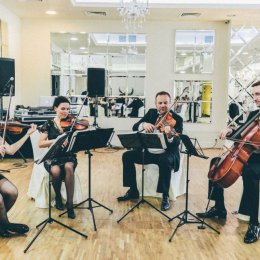 Kwartet smyczkowy Insano - Oprawa muzyczna