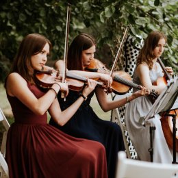 Oprawa ślubu Trio Gracja - Oprawa muzyczna