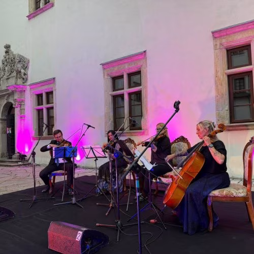Kwartet smyczkowy Dell'arte - Oprawa muzyczna