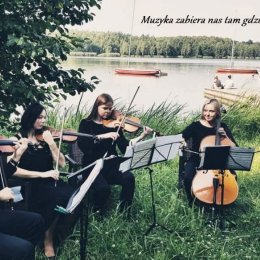 Kwartet smyczkowy Dell'arte - Oprawa muzyczna