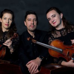 Vision Trio - trio smyczkowe - Oprawa muzyczna