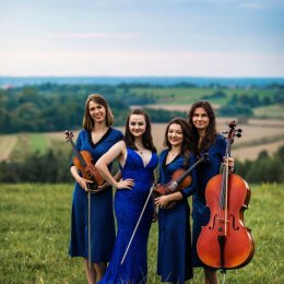 Trio Smyczkowe ARCO - Oprawa muzyczna