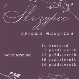 Skrzypce Organy Emilia - Oprawa muzyczna
