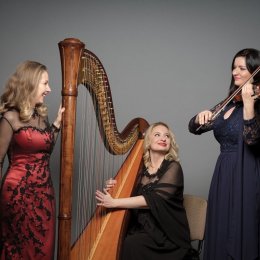 Trio Lyrico Harfa Śpiew Skrzypce - Oprawa muzyczna