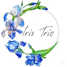 Trio smyczkowe Iris Trio - Oprawa muzyczna