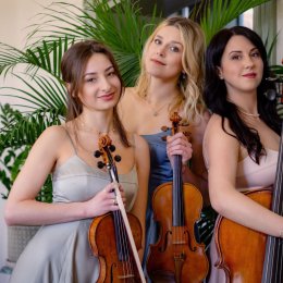 Zespół smyczkowy Amber Trio - Oprawa muzyczna