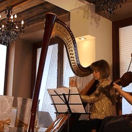 Duet Harfa-Skrzypce - Oprawa muzyczna