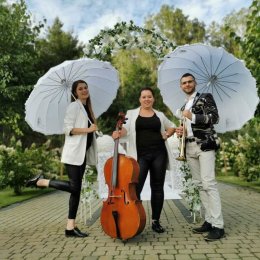 Trio wokalno-instrumentalne MIRUM - Oprawa muzyczna