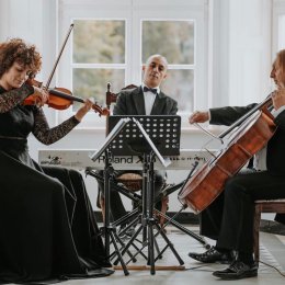 Zespół Camerata Trio - Oprawa muzyczna