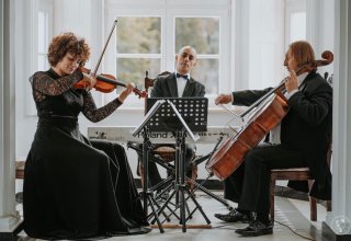Zespół Camerata Trio