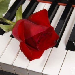 AnnArt - Oprawa muzyczna