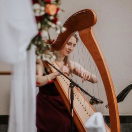 MarryWithHarp - Oprawa muzyczna