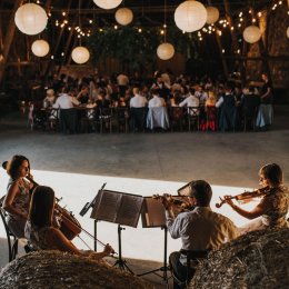 Stringarte Quartet - Oprawa muzyczna