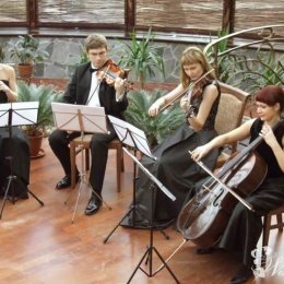 Kwartet Con Brio - Oprawa muzyczna