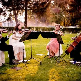 Kwartet smyczkowy Con Forza - Oprawa muzyczna