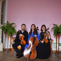 Saltando Trio - Oprawa muzyczna