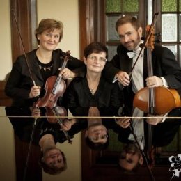 Trio ARTE - Oprawa muzyczna