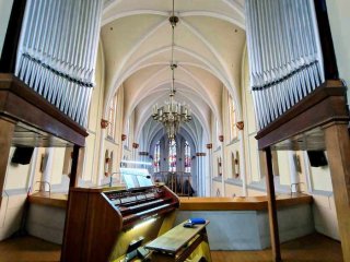 Marcin Niedziela - organista