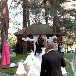 Śpiewaczka Elena Ego - Oprawa muzyczna