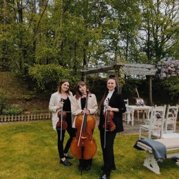 Art&Bow Trio - Oprawa muzyczna