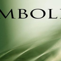 gitara z wiolonczelą - duet Symbolika - Oprawa muzyczna