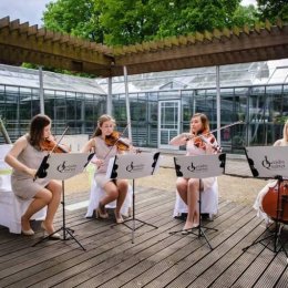 KWARTET SMYCZKOWY LejdisQuartet - Oprawa muzyczna