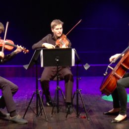 Trio smyczkowe Vivace - Oprawa muzyczna