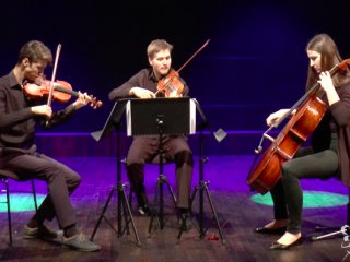 Trio smyczkowe Vivace