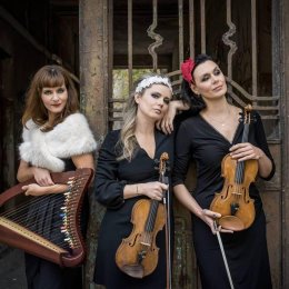 JOPEK Trio_skrzypce i harfa celtycka - Oprawa muzyczna