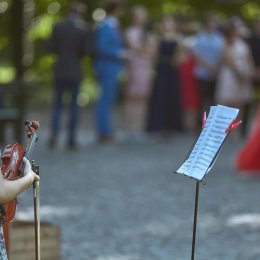 Skrzypce - oprawa muzyczna ślubów i innych uroczystości - Oprawa muzyczna