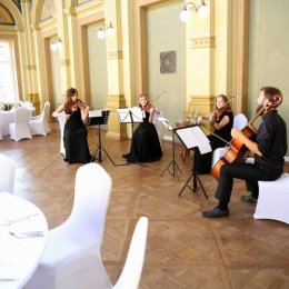 Po Prostu Kwartet - kwartet smyczkowy na ślub! - Oprawa muzyczna