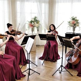 Ekspresyjne Smyczki - Oprawa muzyczna