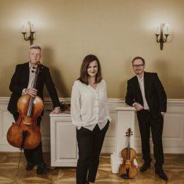 Trocken Trio - trio smyczkowe - Oprawa muzyczna