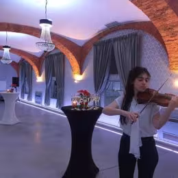 Skrzypce- oprawa muzyczna ślubów, imprez okolicznościowych - Oprawa muzyczna