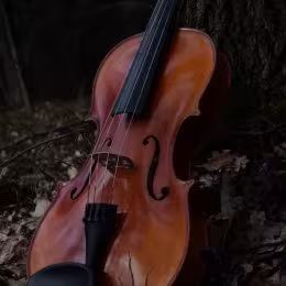 Skrzypce Altówka na ślub - Oprawa muzyczna