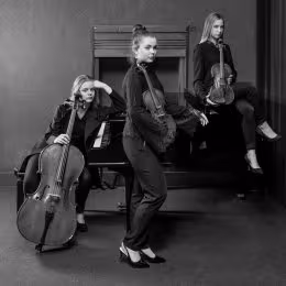 Appassionato - Trio Smyczkowe - Oprawa muzyczna