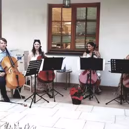 Cello Emotion Art - Oprawa muzyczna