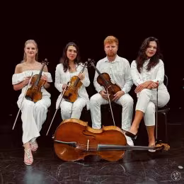 Vivid Quartet - Oprawa muzyczna