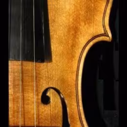 SKRZYPCE, KWARTET NA  PRZYJĘCIE - Oprawa muzyczna